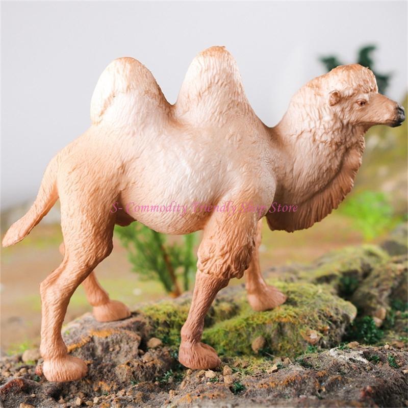 Science Exhibition Models - 85AE Realistic Camels Model for Science