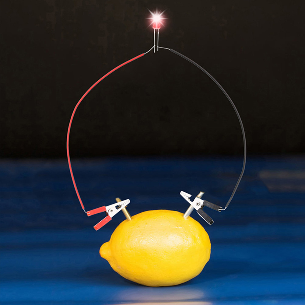 Science Project Physics - 1Set Fruit Battery Science Experiment Kit