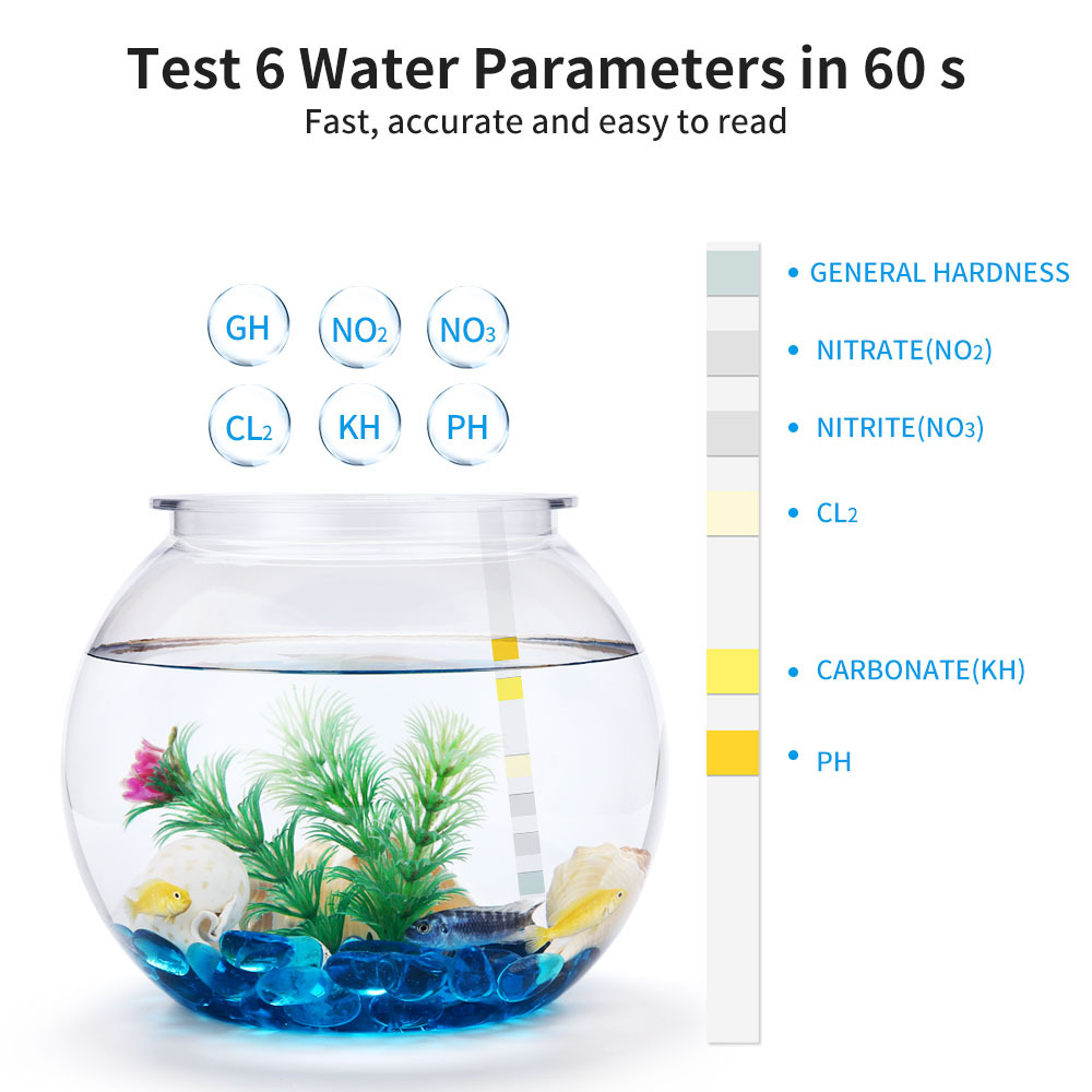 6-In-1 Water Quality Test Stri - Water Testing Kit reseña y precio