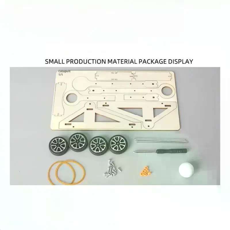 1 Set DIY Science Experiment K - Science Project Physics reseña y precio