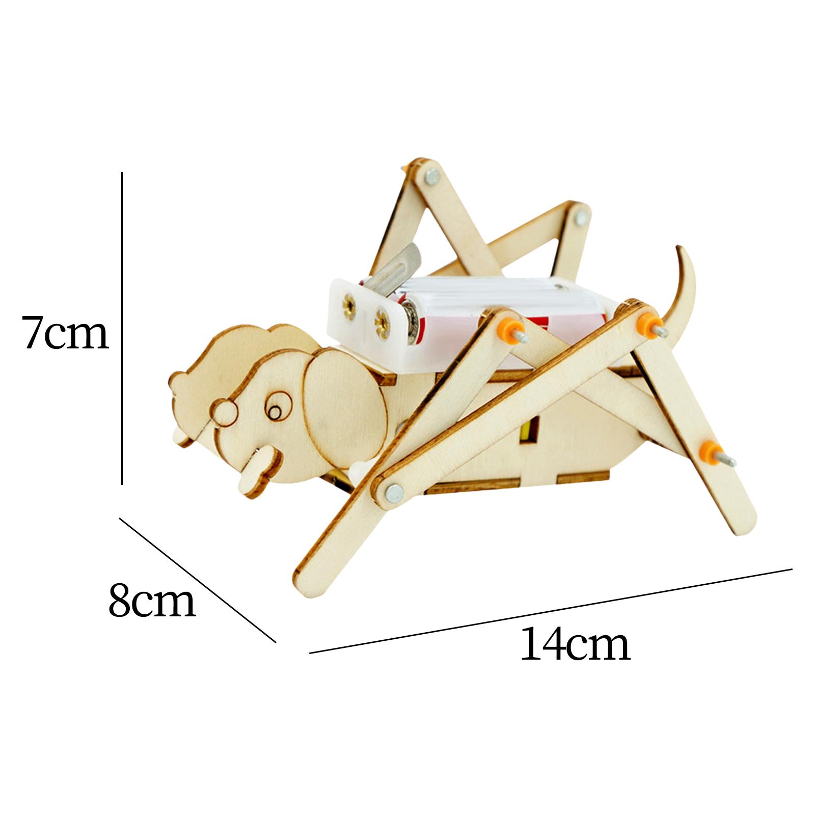 DIY Wooden Model Set Science K - Science Project Toys Making reseña y precio