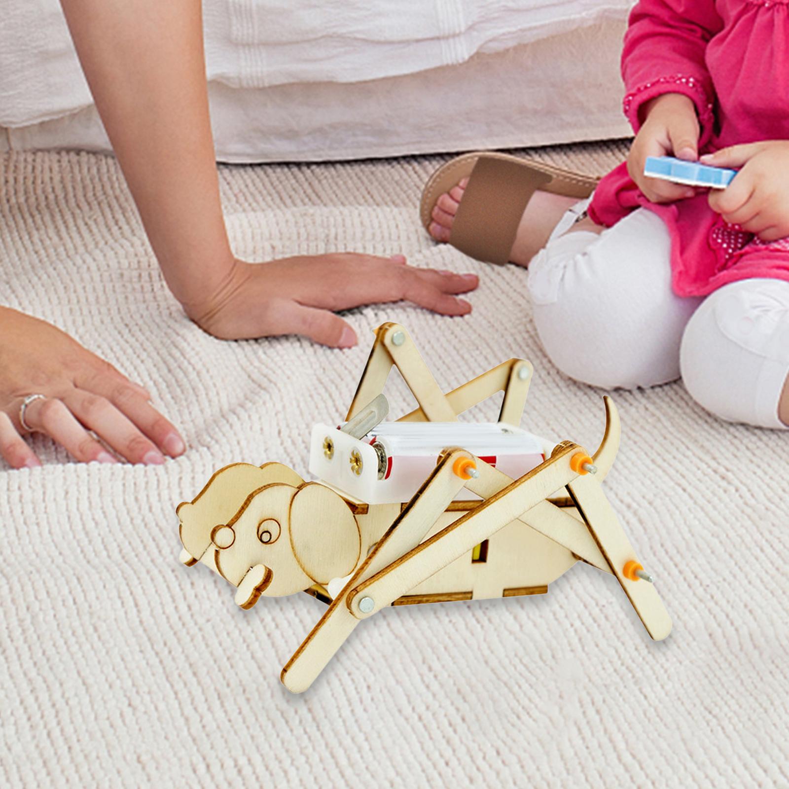 DIY Wooden Model Set Science K - Science Project Toys Making reseña y precio