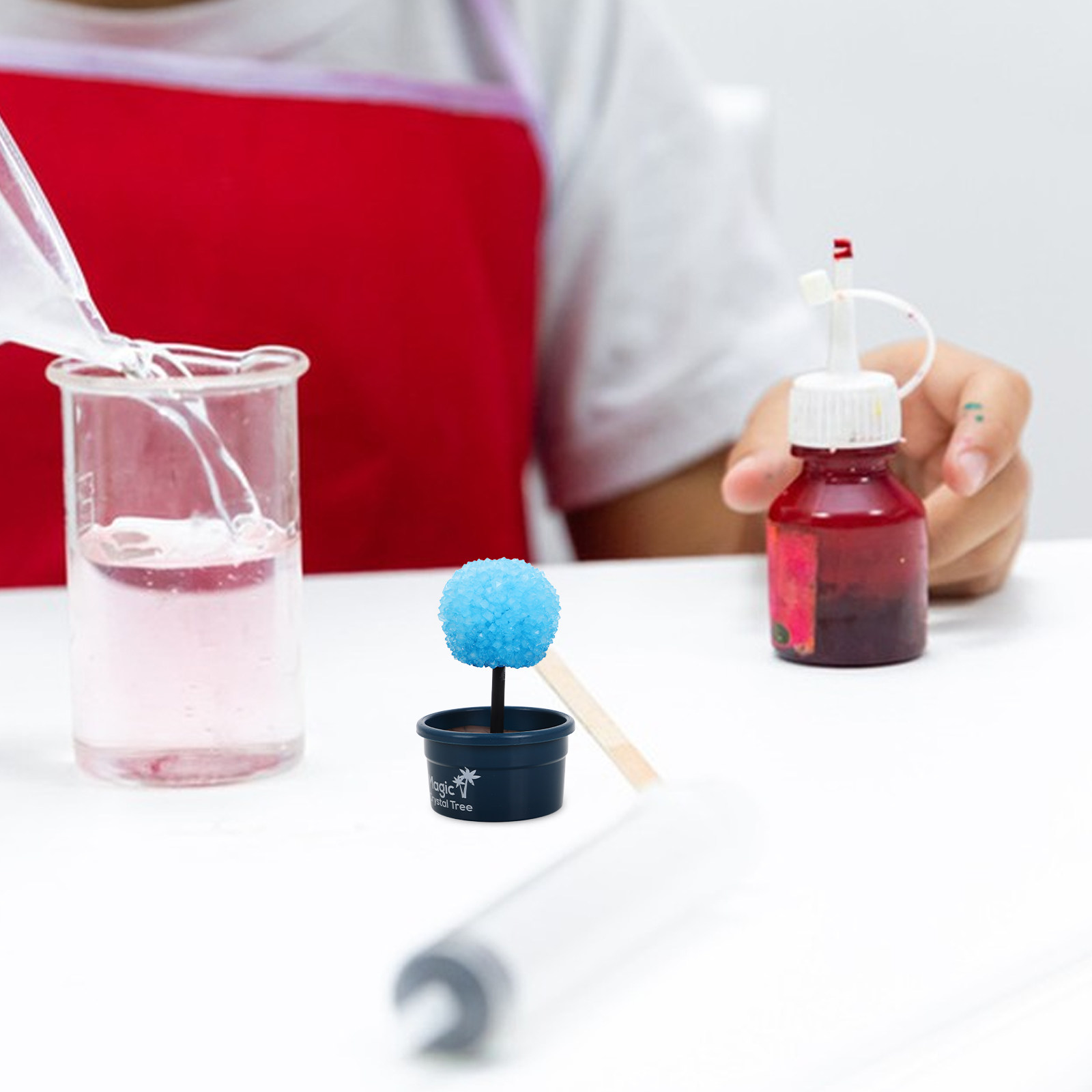 1Set Crystal DIY Science Kit F - Science Project Kit reseña y precio
