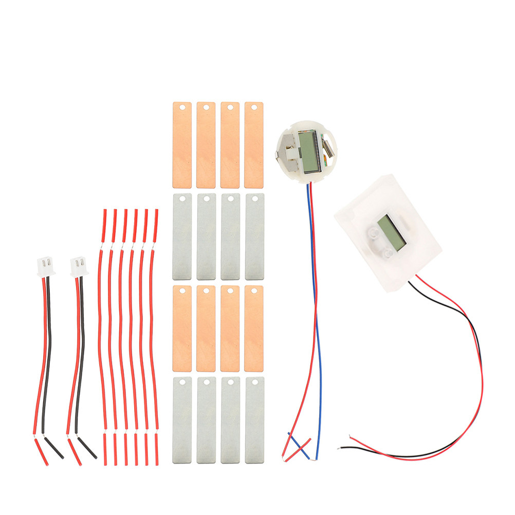 1Set Fruit Battery Science Exp - Science Project Physics reseña y precio