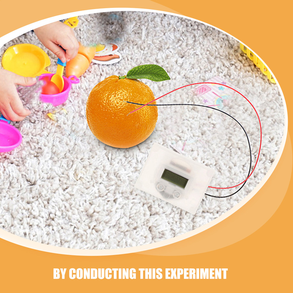 1Set Fruit Battery Science Exp - Science Project Physics reseña y precio