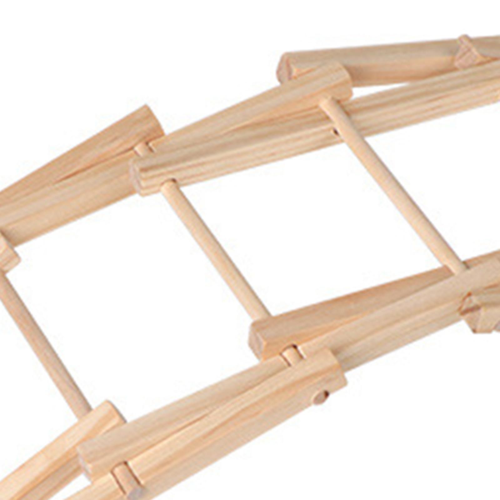 Wood Science Model Bridge (ass - Science Project Physics reseña y precio