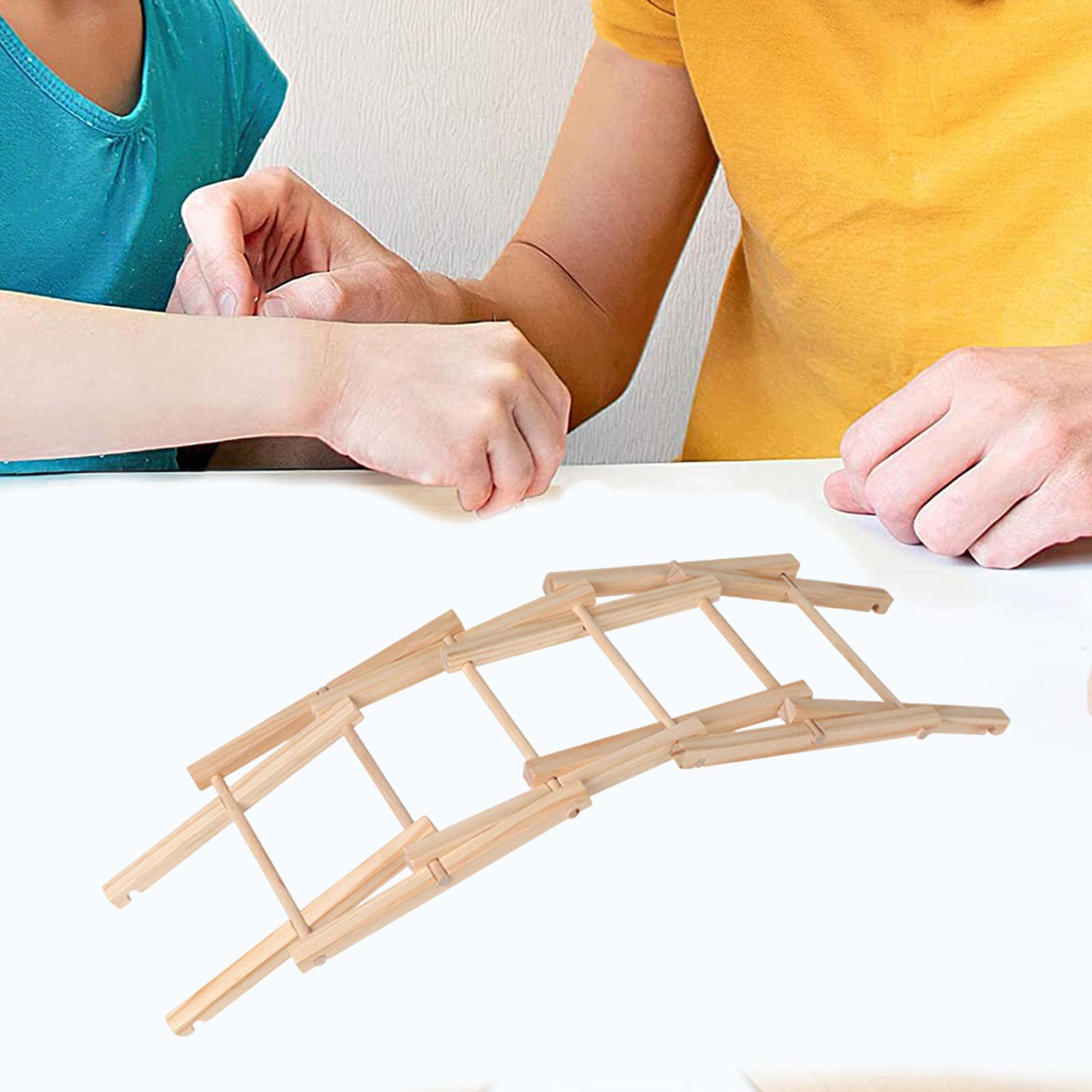 Wood Science Model Bridge (ass - Science Project Physics reseña y precio