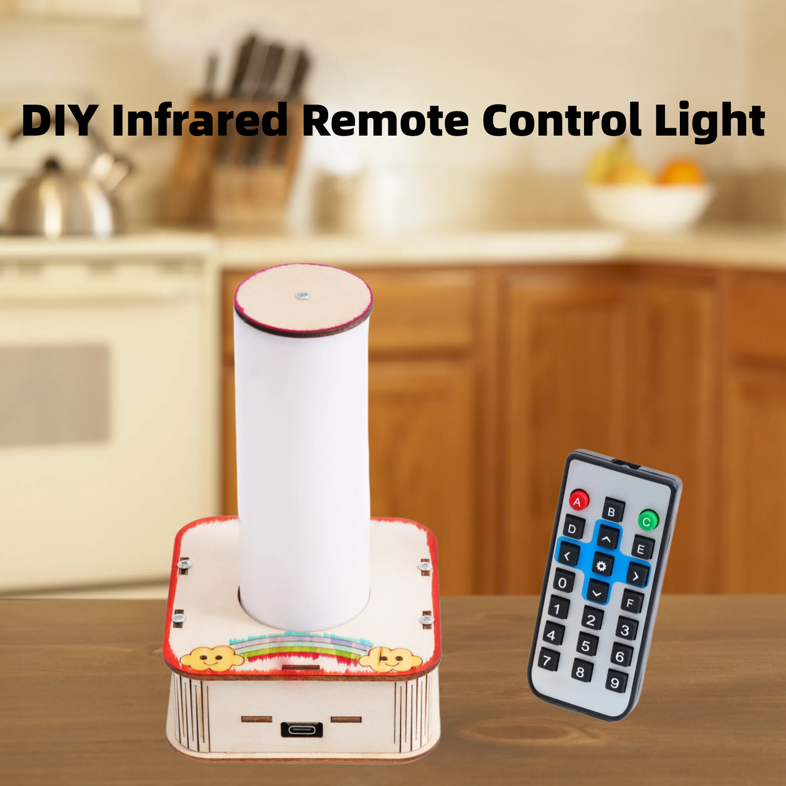 DIY Infrared Remote Control Li - Science Project Physics reseña y precio