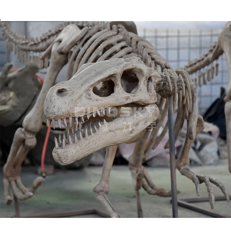 ATV&UTVResin Raptor Skeleton F - Science Exhibition Models reseña y precio