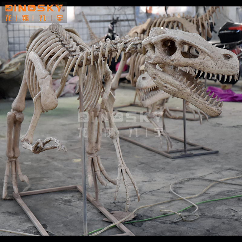 ATV&UTVResin Raptor Skeleton F - Science Exhibition Models reseña y precio