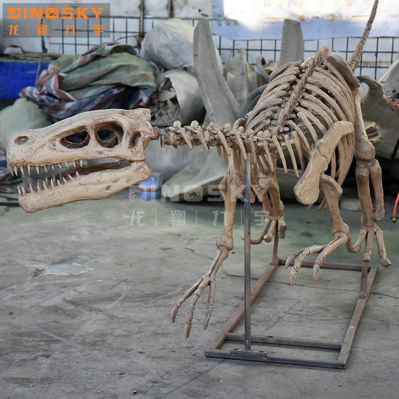 ATV&UTVResin Raptor Skeleton F - Science Exhibition Models reseña y precio
