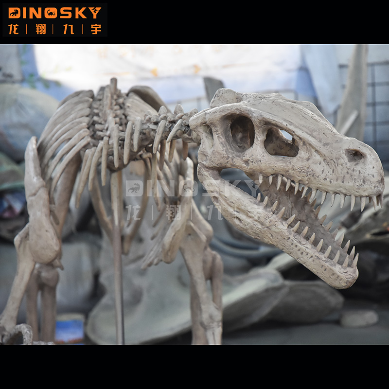 ATV&UTVResin Raptor Skeleton F - Science Exhibition Models reseña y precio